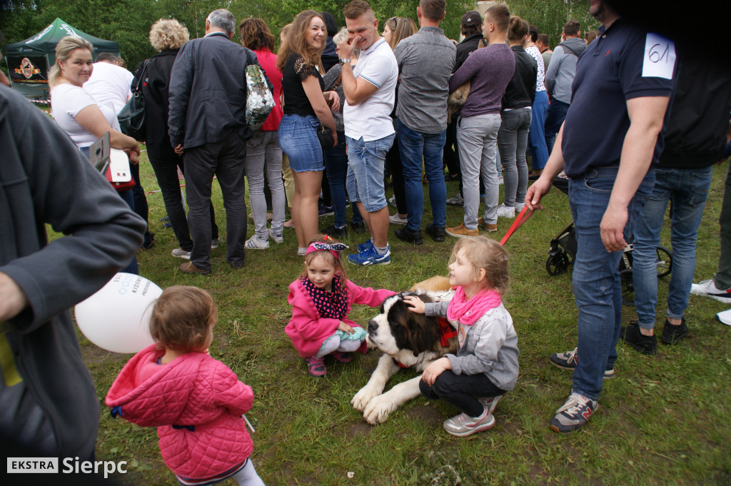 Wystawa psów rasowych