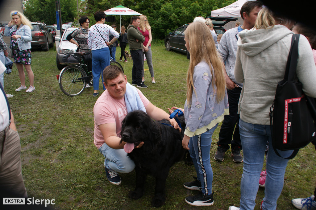 Wystawa psów rasowych