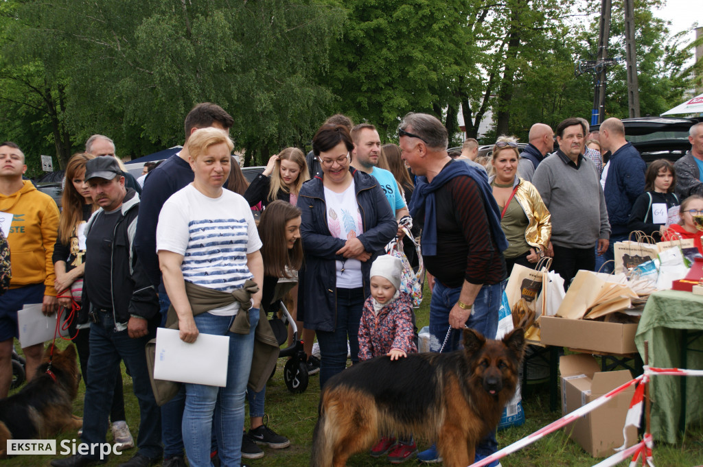 Wystawa psów rasowych