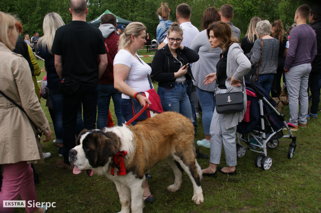 Wystawa psów rasowych