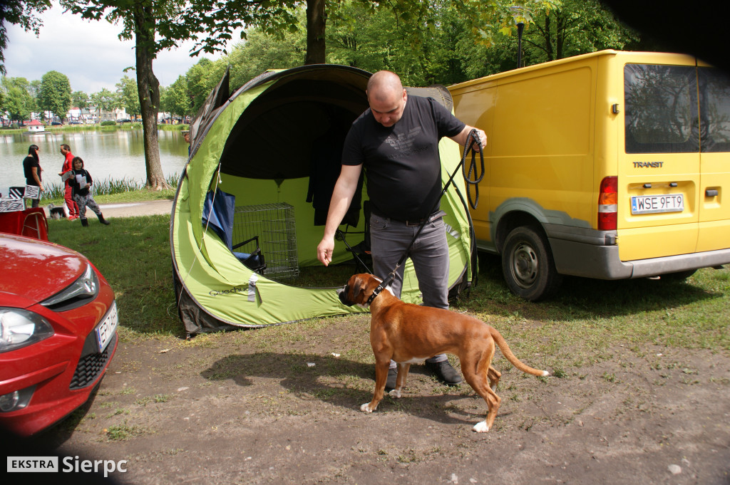 Wystawa psów rasowych