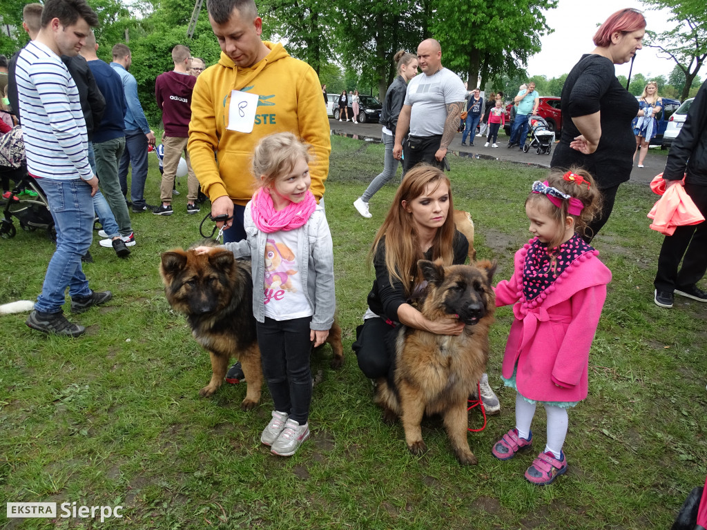Wystawa psów rasowych