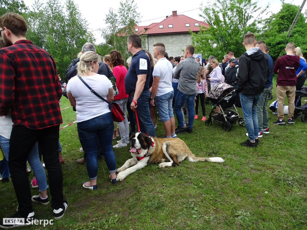 Wystawa psów rasowych