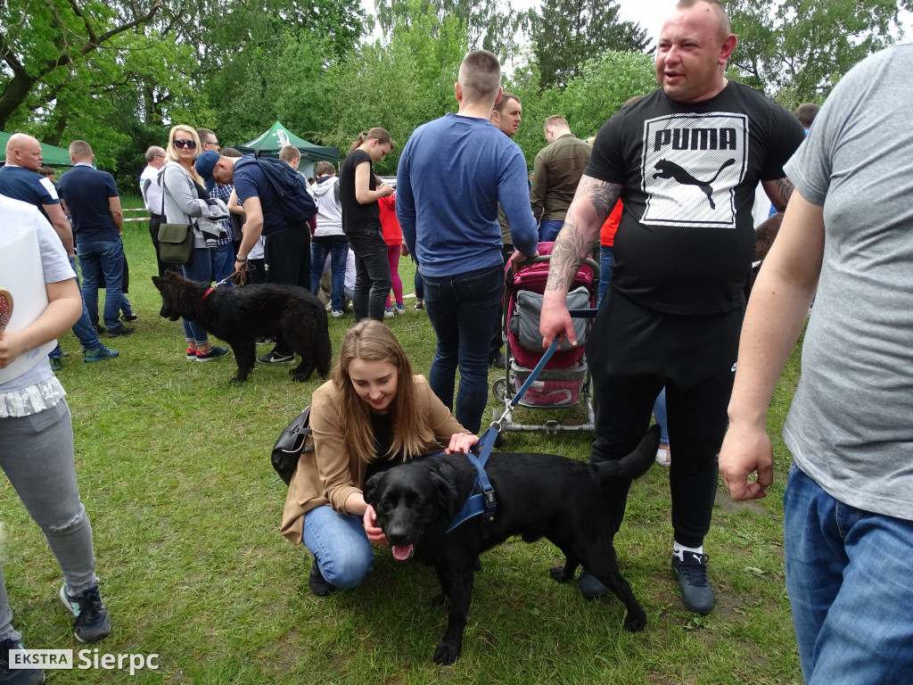 Wystawa psów rasowych