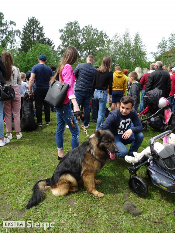 Wystawa psów rasowych