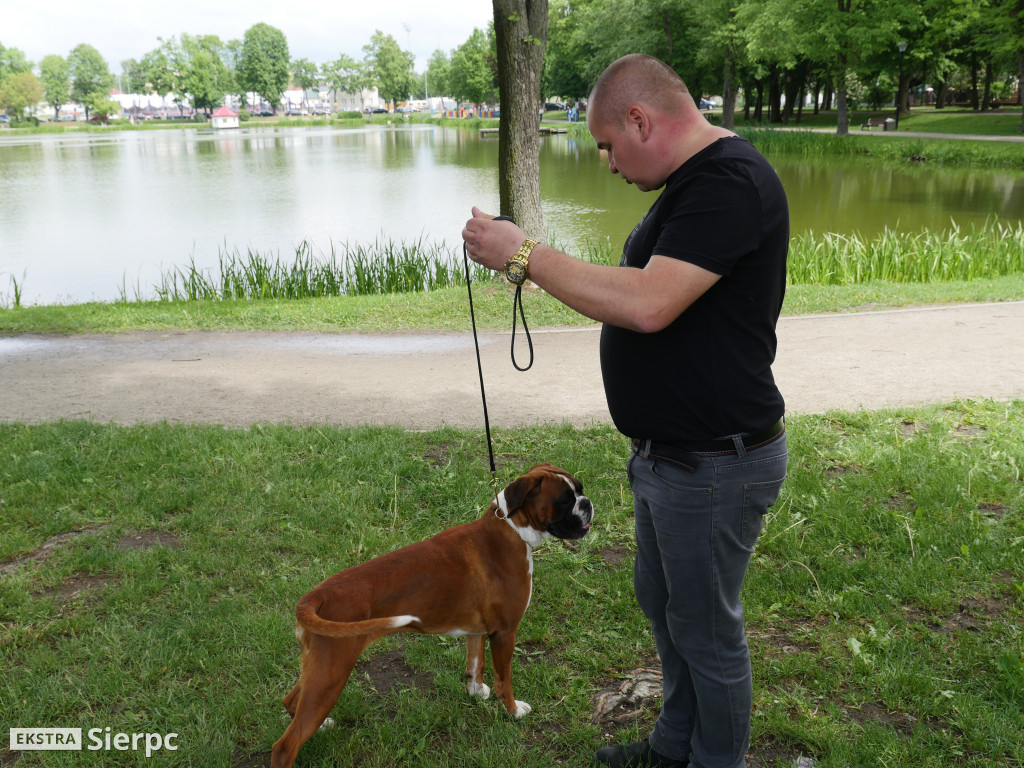 Wystawa psów rasowych
