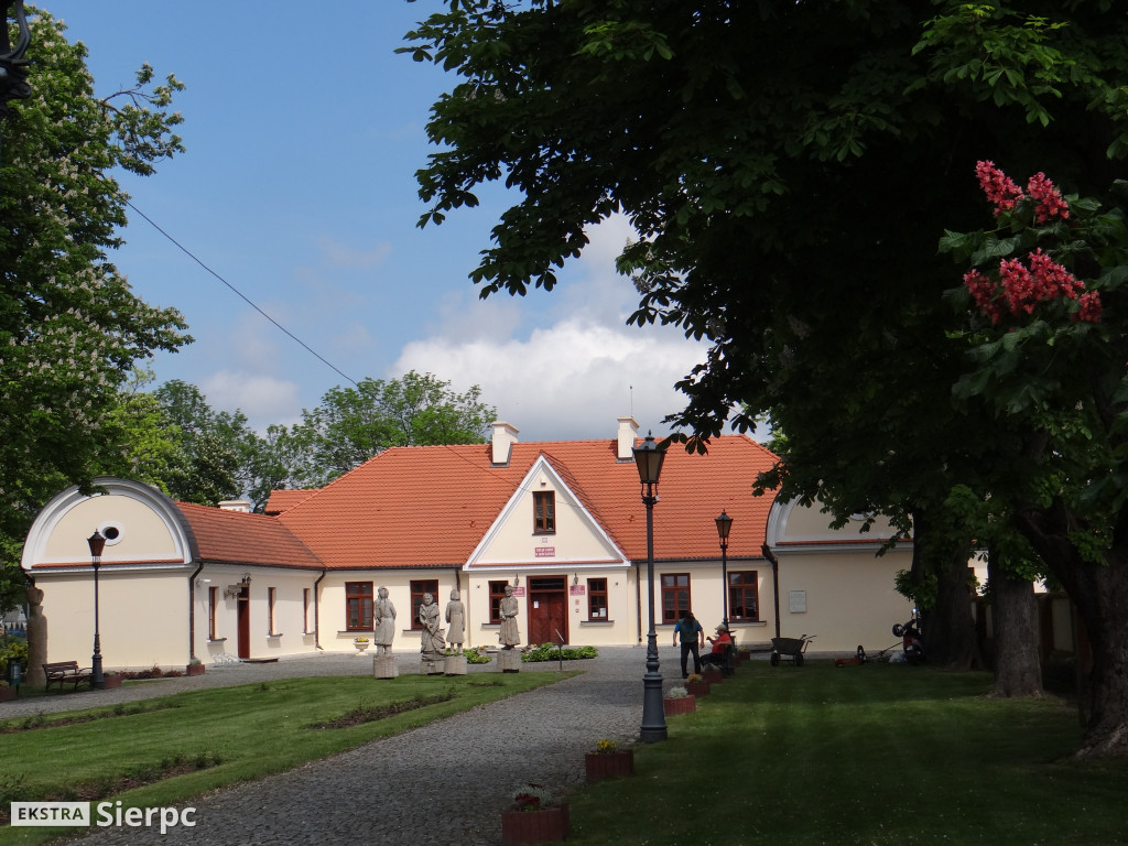 Kwitnące kasztanowce w Rościszewie