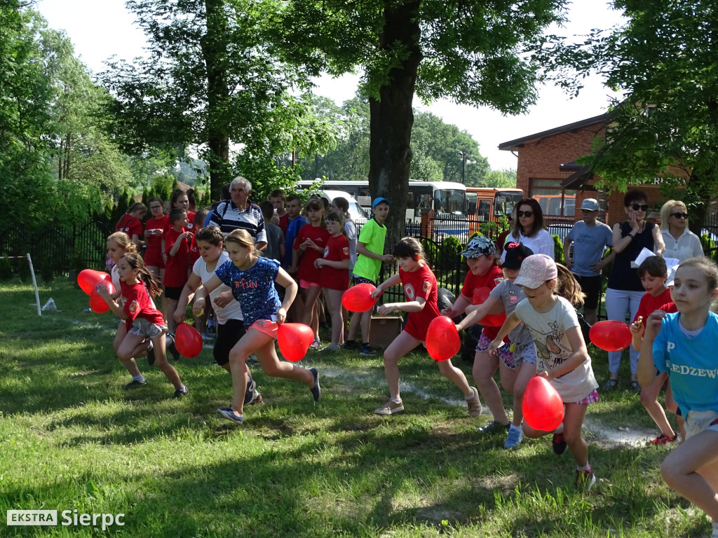 Piknik ekologiczno-sportowy