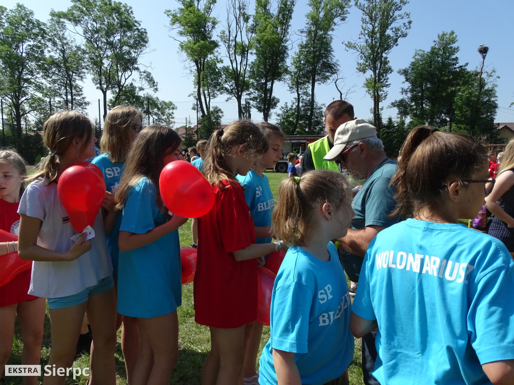Piknik ekologiczno-sportowy