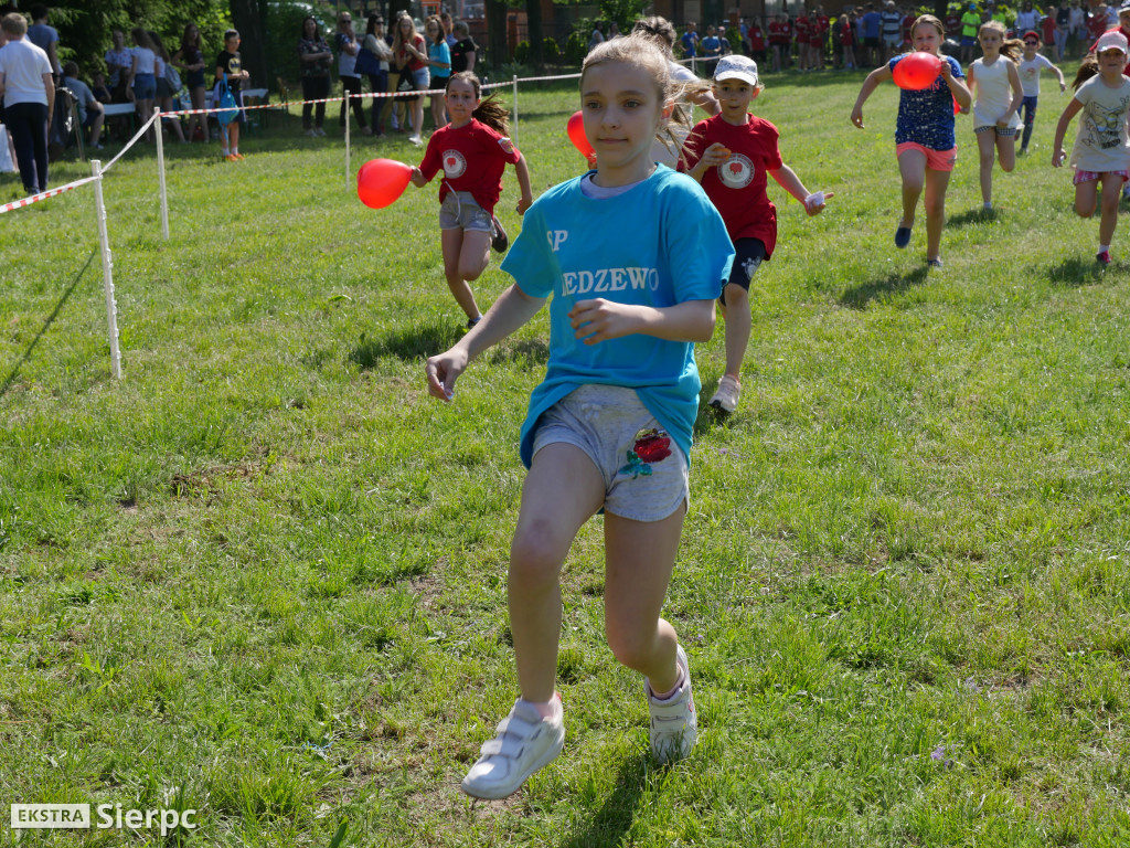 Piknik ekologiczno-sportowy