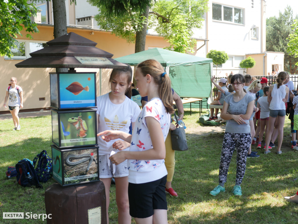 Piknik ekologiczno-sportowy