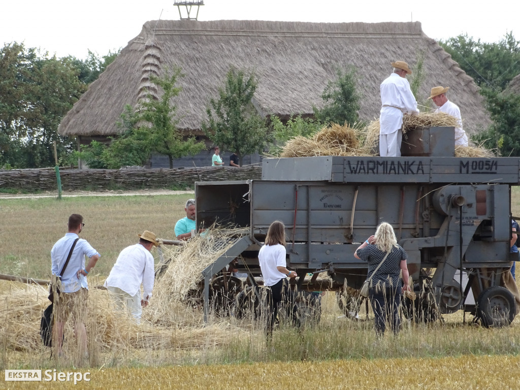 Żniwa w sierpeckim skansenie