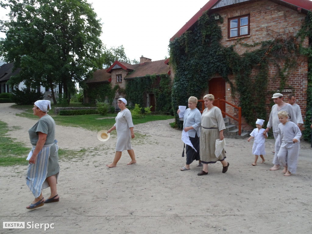 Żniwa w sierpeckim skansenie