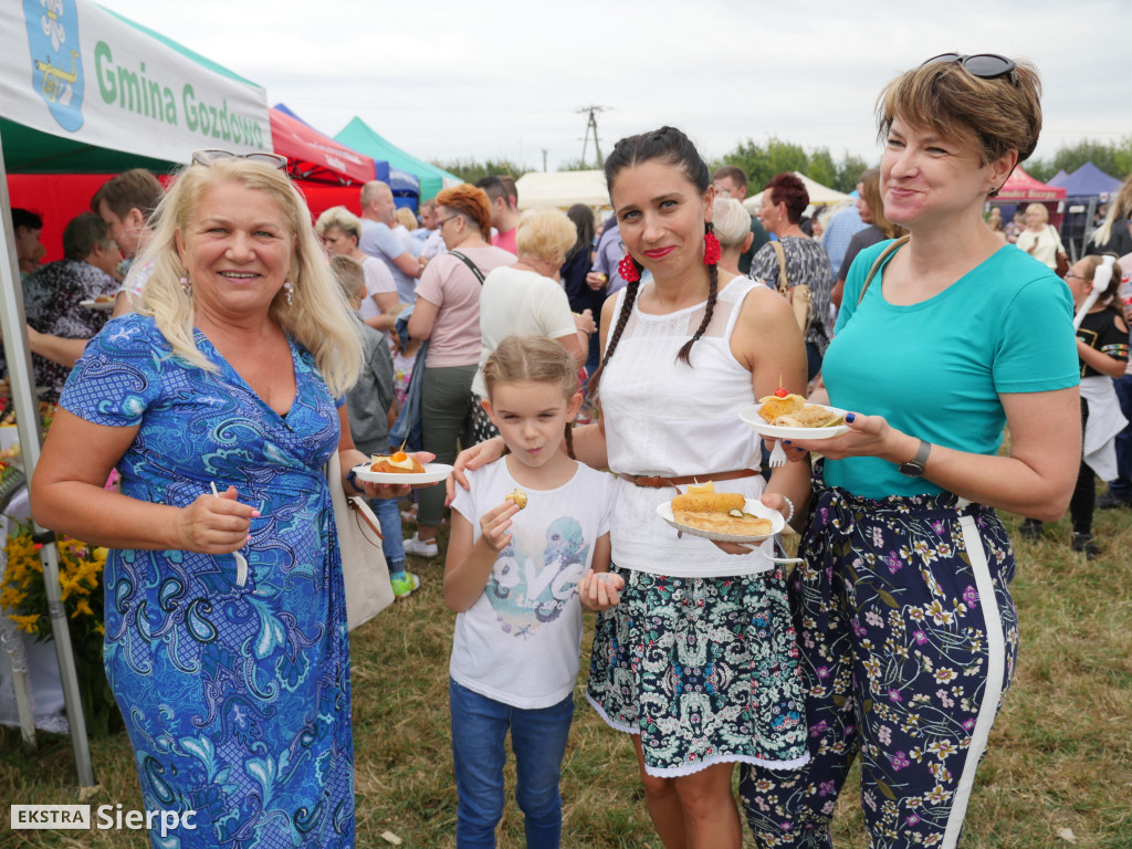 IV Kasztelański Festiwal Smaku - II dzień