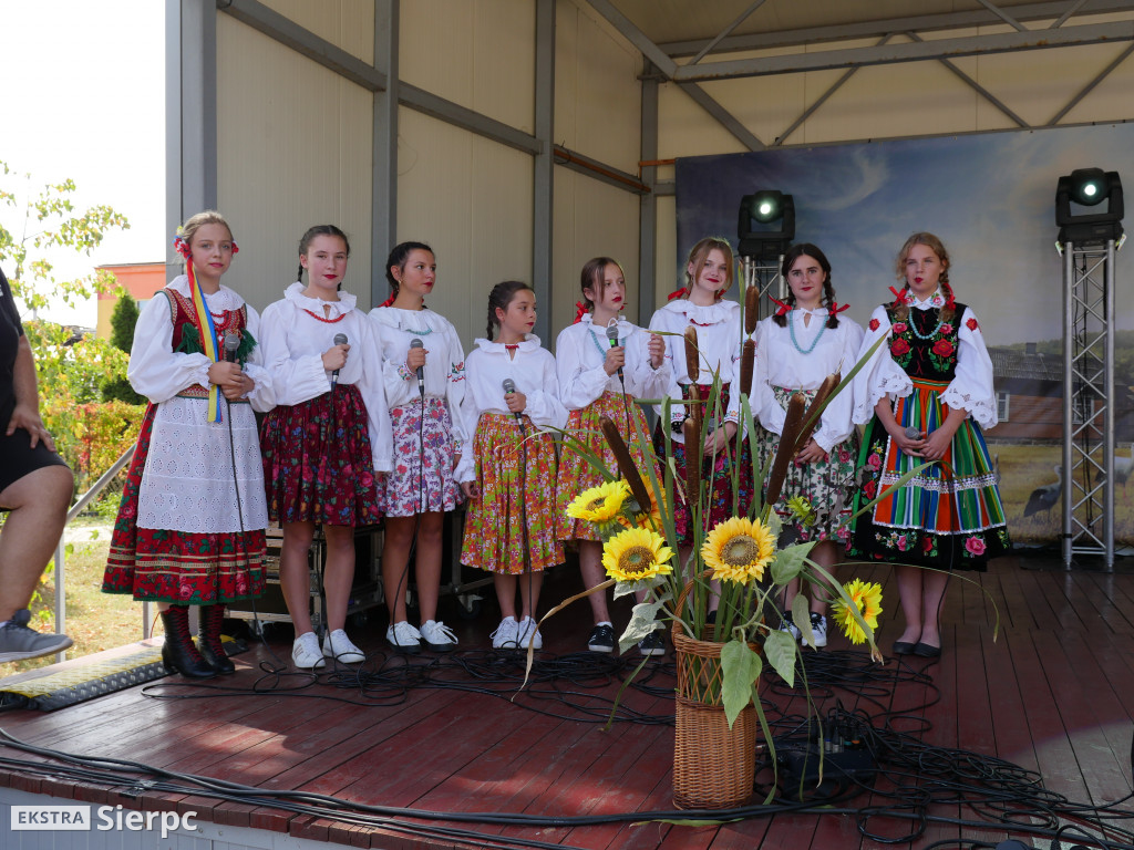 Dożynki w Gozdowie