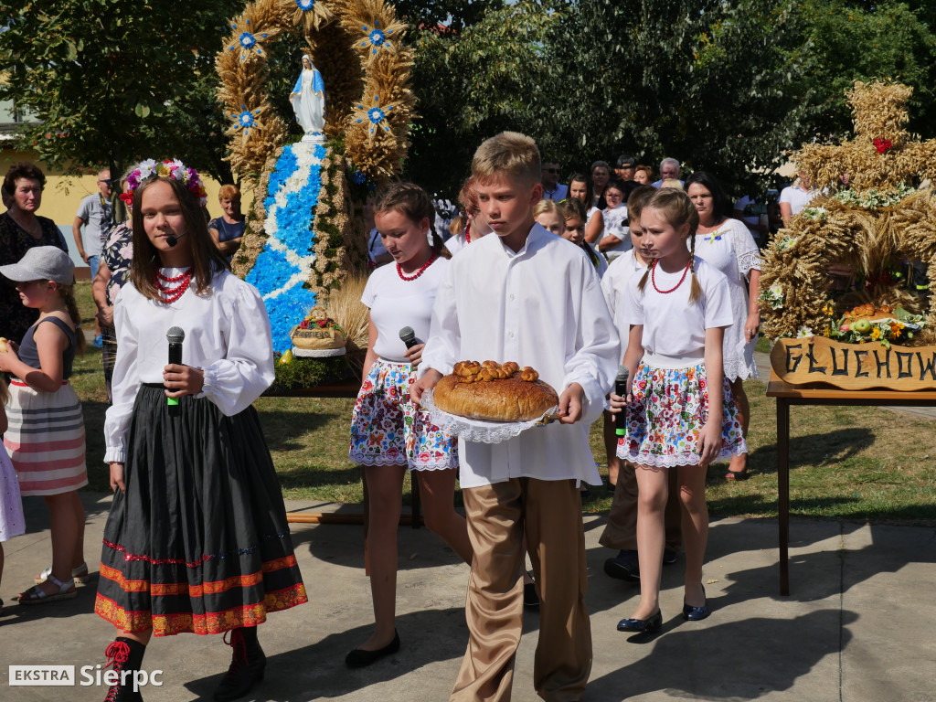 Dożynki w Gozdowie