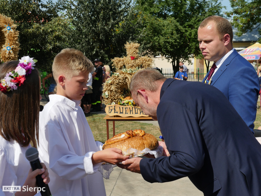 Dożynki w Gozdowie