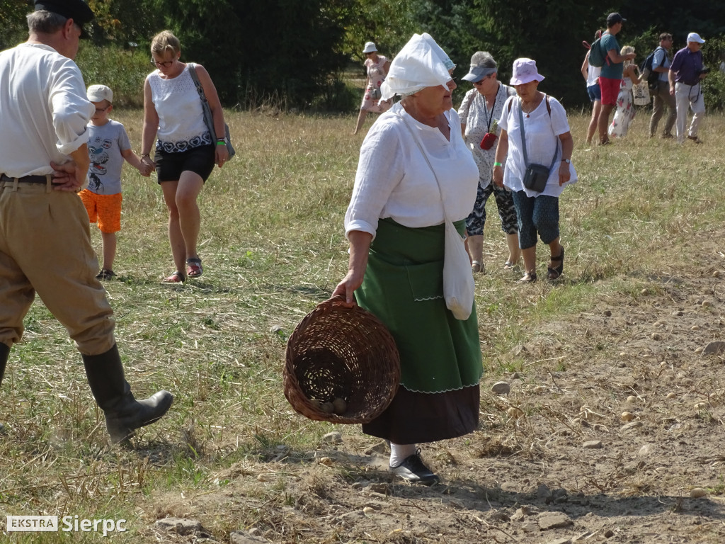 Wykopki w skansenie