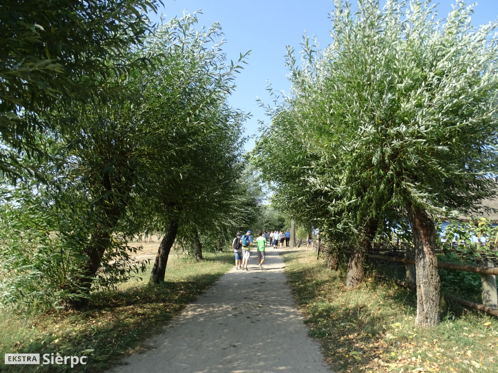 Wykopki w skansenie