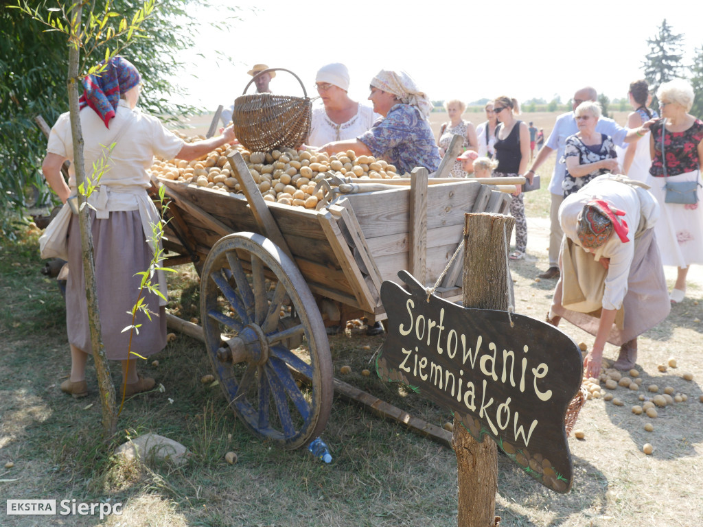 Wykopki w skansenie