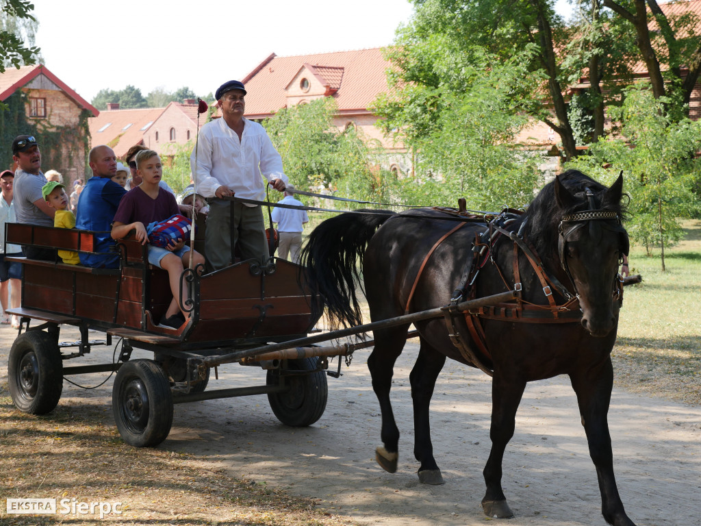 Wykopki w skansenie