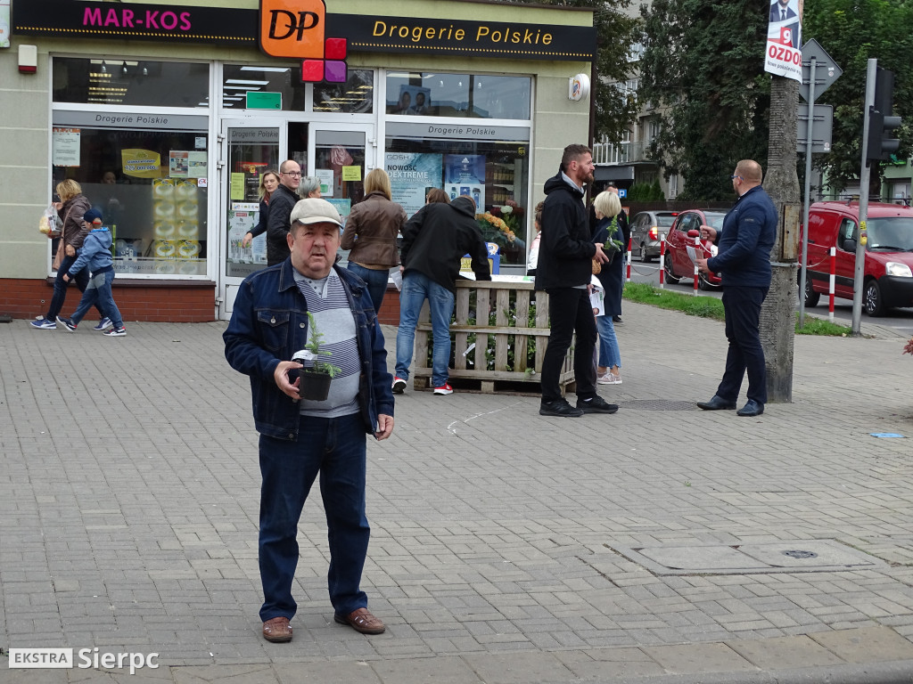 Akcja rozdawania drzewek