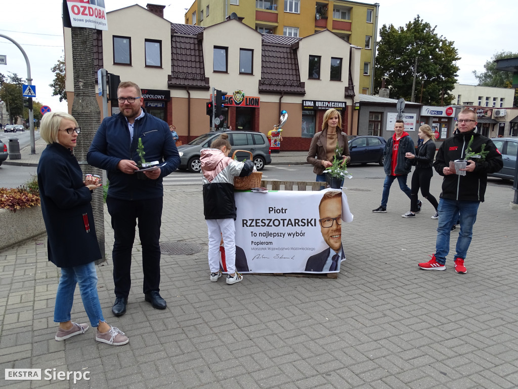 Akcja rozdawania drzewek
