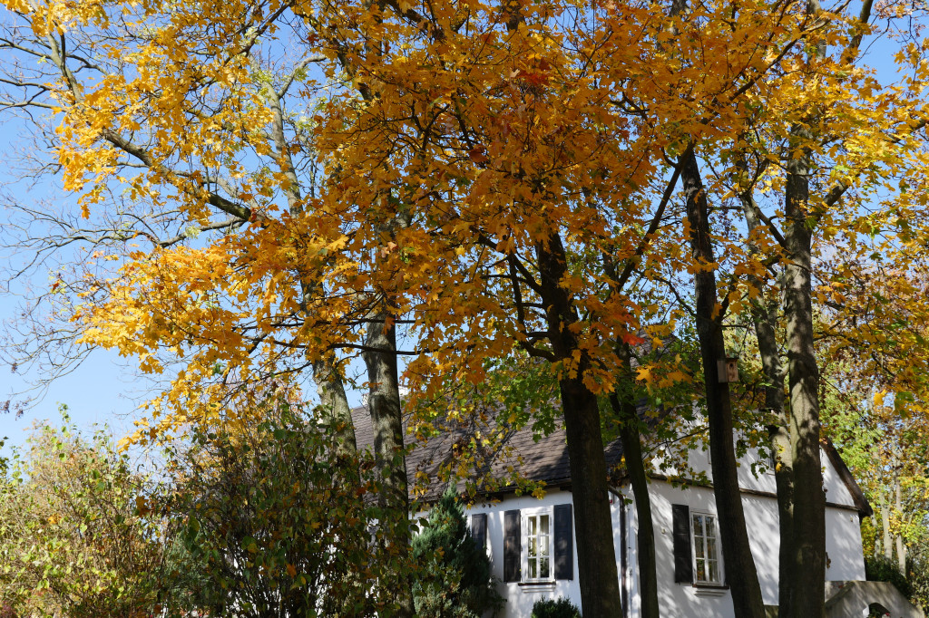 Skansen jesienią