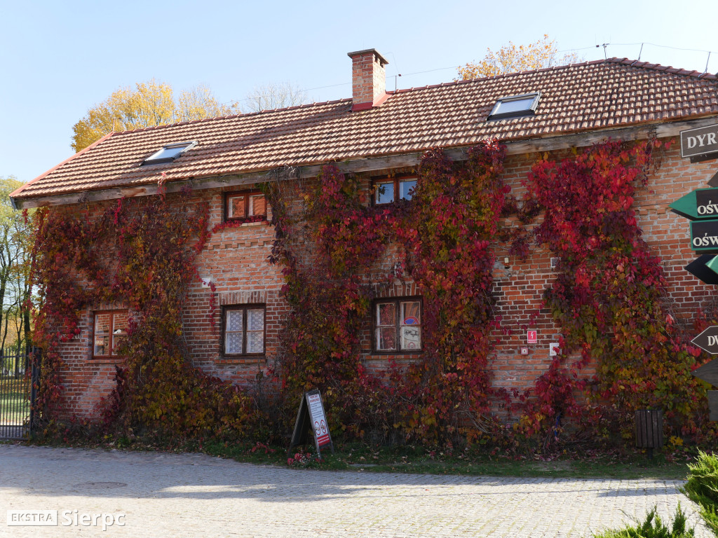 Skansen jesienią