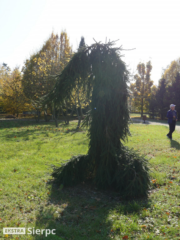 Skansen jesienią