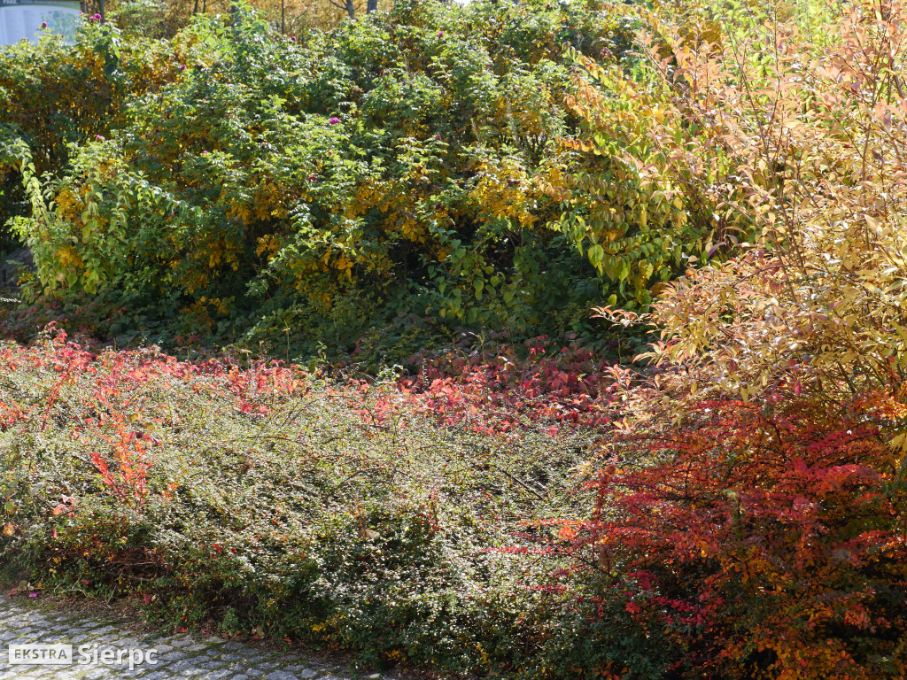 Skansen jesienią