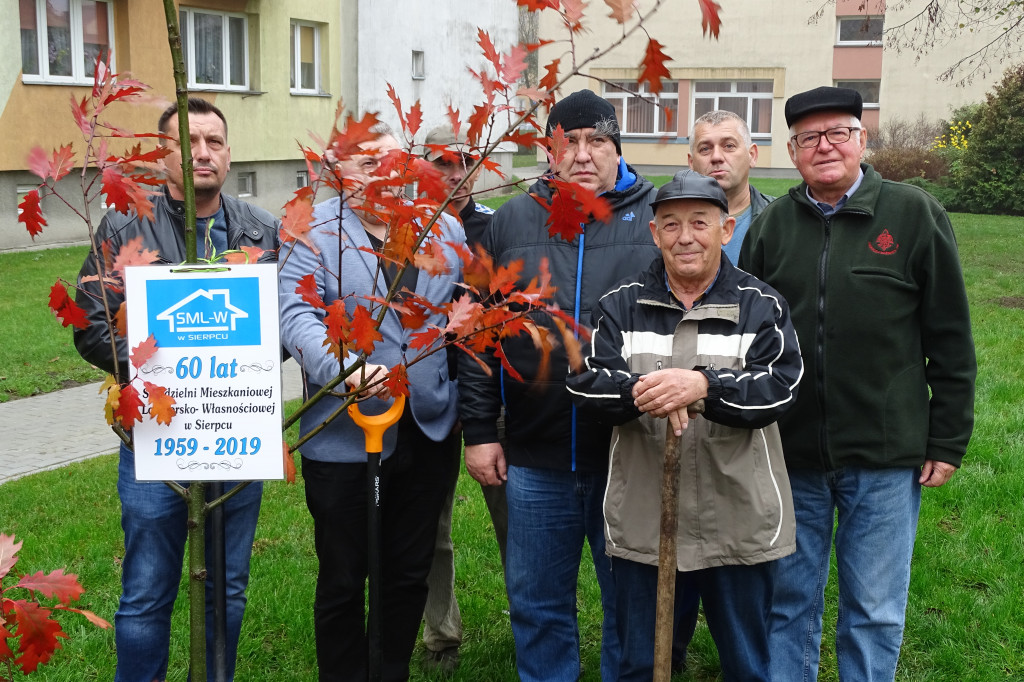 Dęby na 60-lecie SML-W