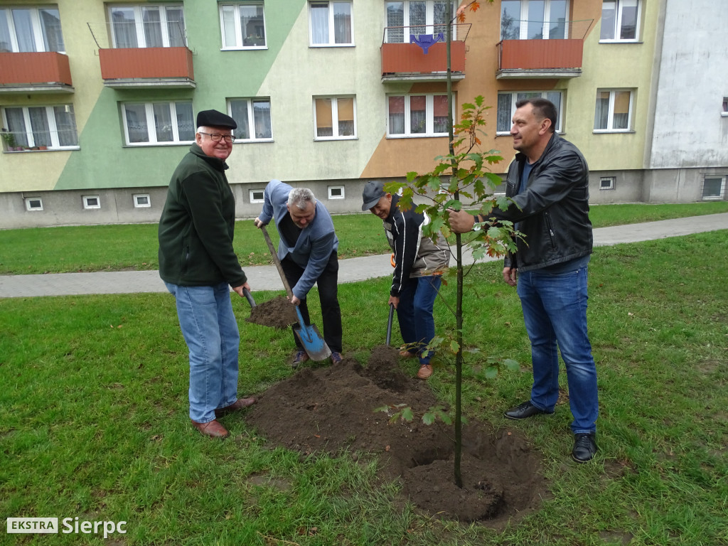 Dęby na 60-lecie SML-W