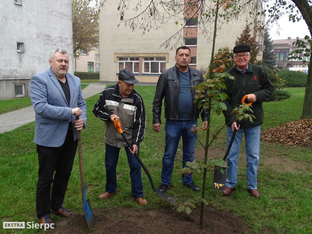 Dęby na 60-lecie SML-W