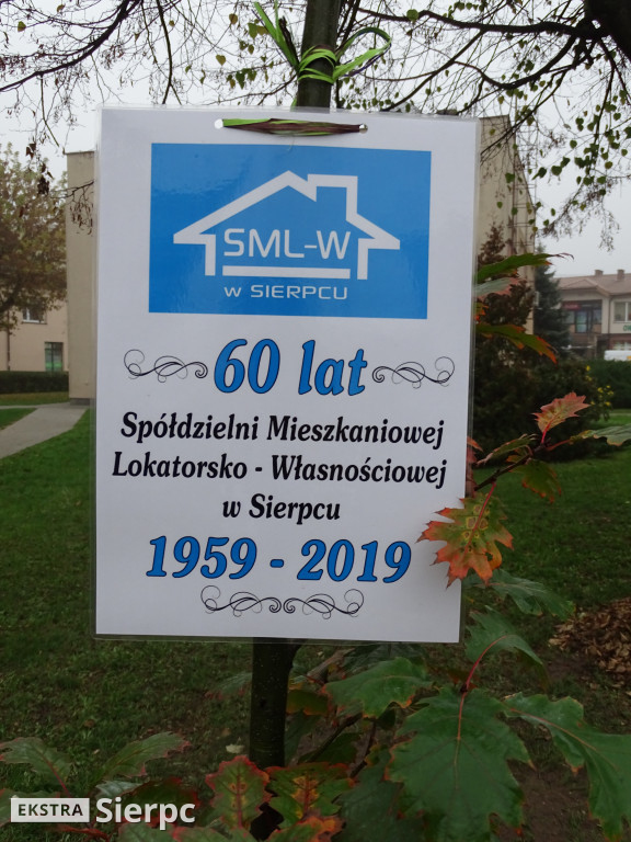 Dęby na 60-lecie SML-W