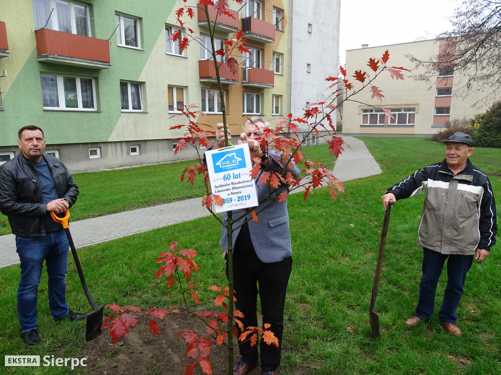 Dęby na 60-lecie SML-W