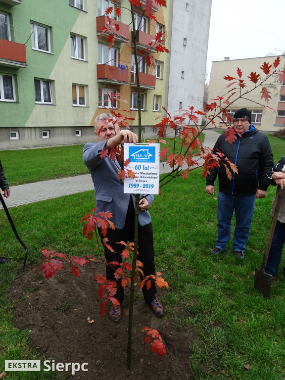 Dęby na 60-lecie SML-W