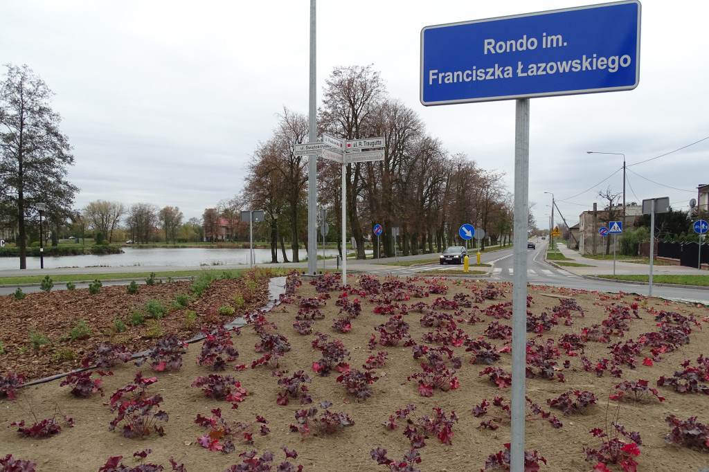 Nasadzenia na rondzie Łazawskiego