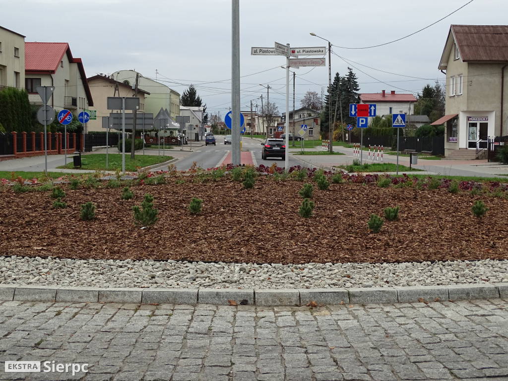 Nasadzenia na rondzie Łazawskiego