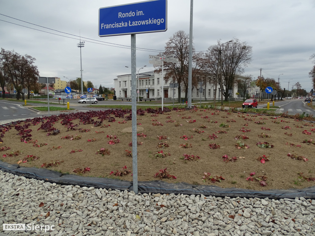 Nasadzenia na rondzie Łazawskiego