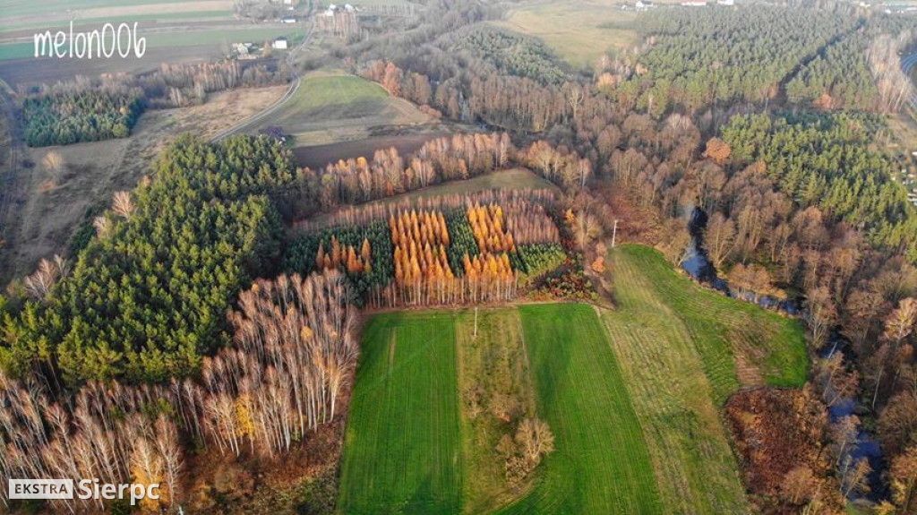 Sierpienica i przyroda w jesiennych barwach z lotu ptaka