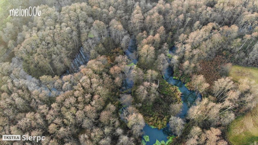 Sierpienica i przyroda w jesiennych barwach z lotu ptaka