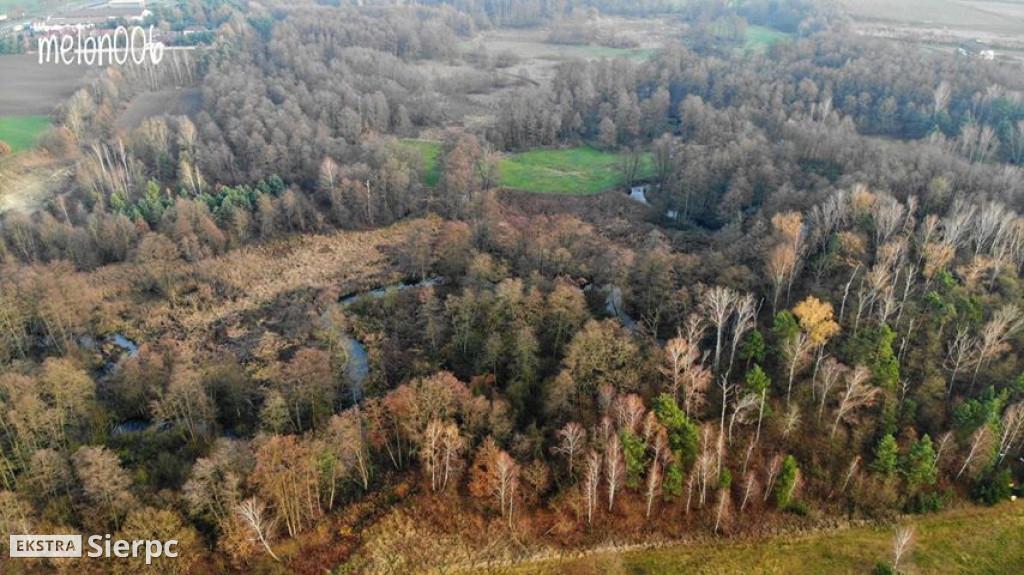 Sierpienica i przyroda w jesiennych barwach z lotu ptaka