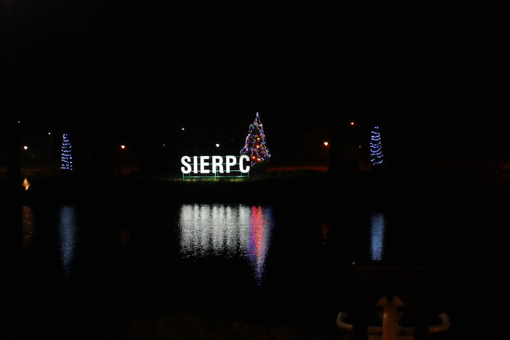 Choinka na wyspie na Jeziórkach