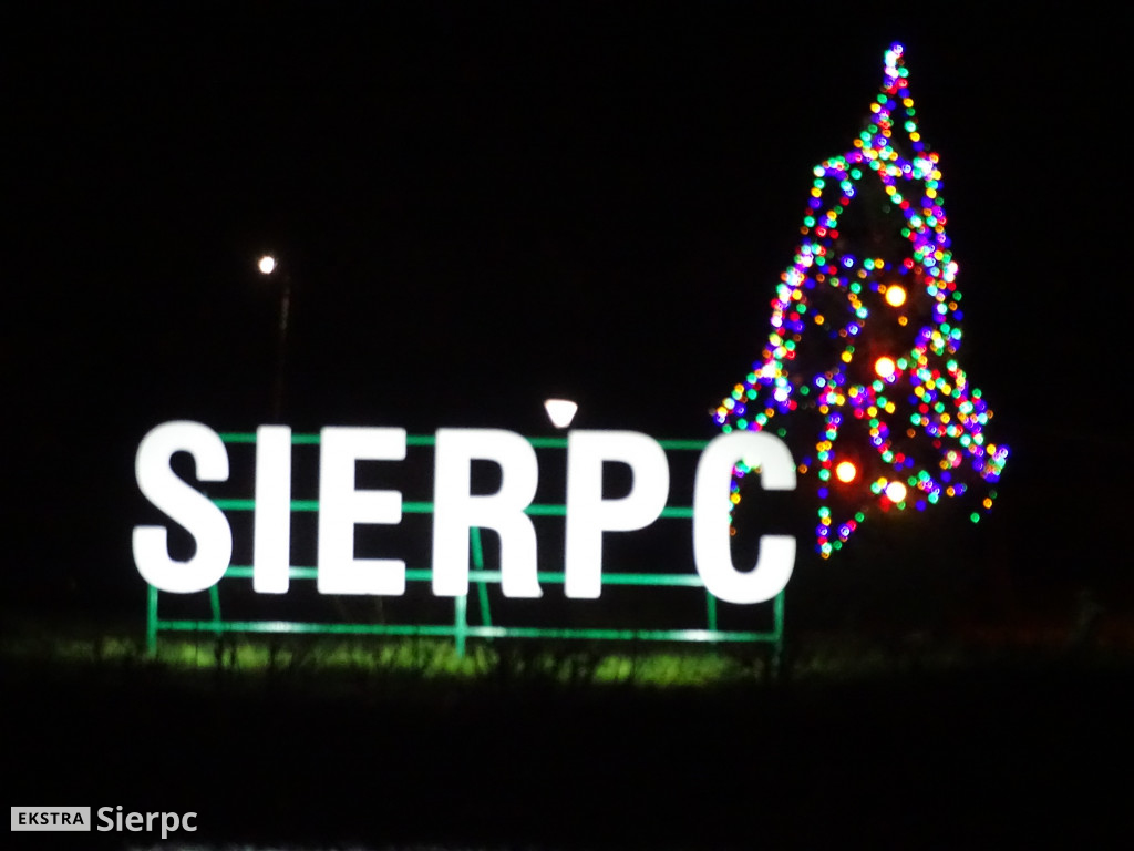 Choinka na wyspie na Jeziórkach