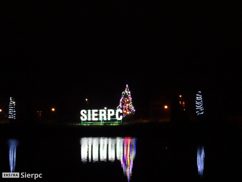 Choinka na wyspie na Jeziórkach