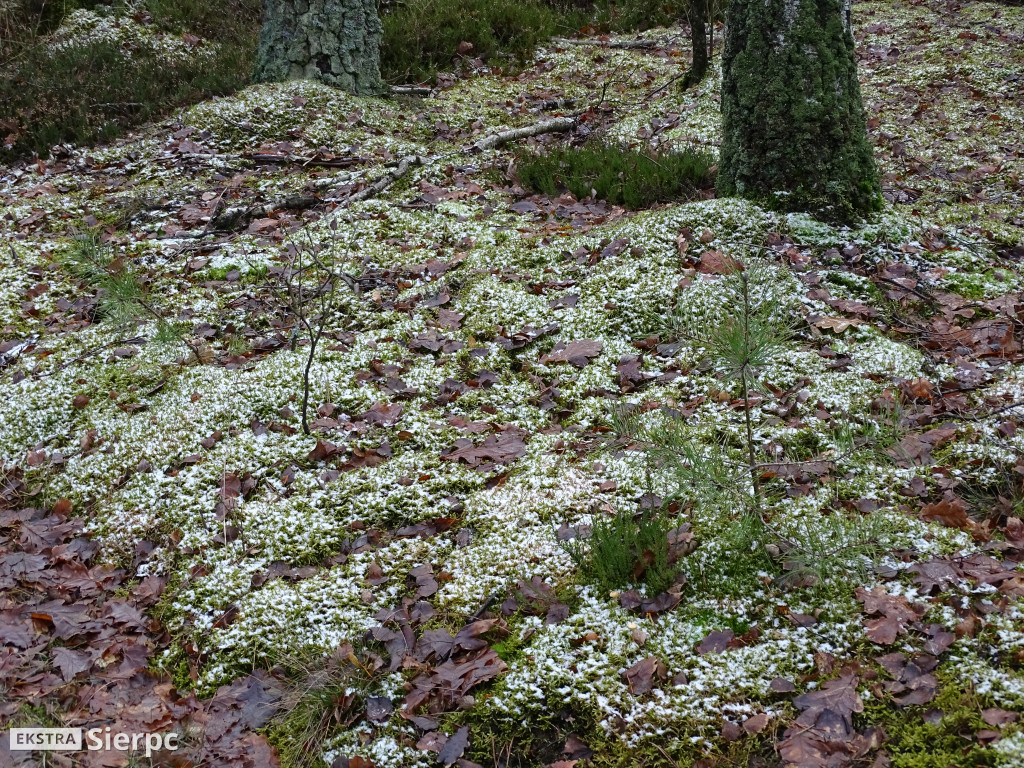 Grudniowa wyprawa nad jezioro