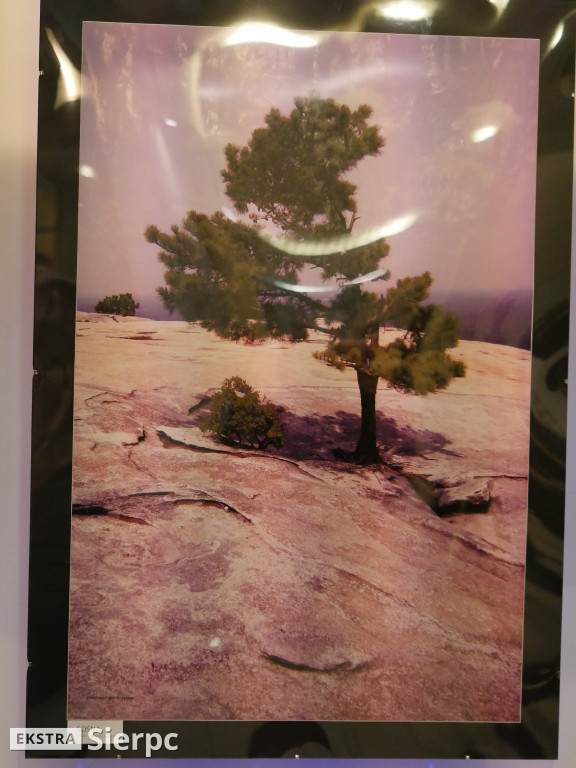 Wystawa fotografii Marka Zglińskiego