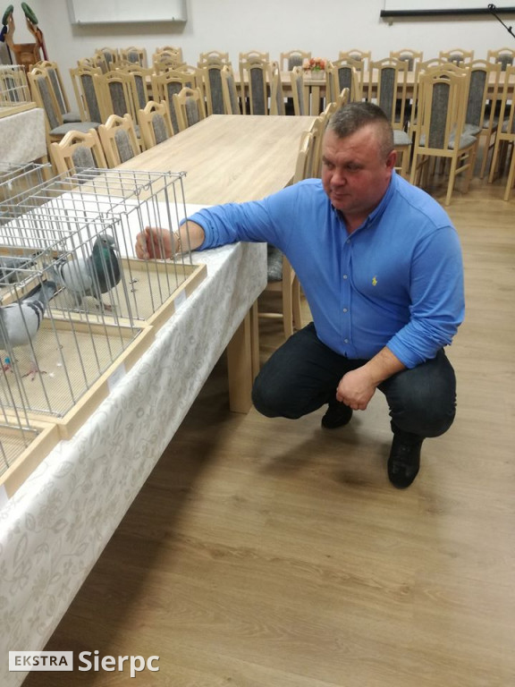 Gołębie Sławomira i Mariusza Sołdańskich