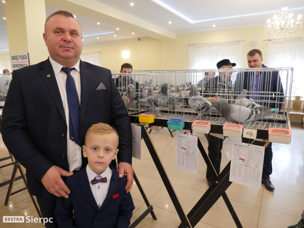 Gołębie Sławomira i Mariusza Sołdańskich